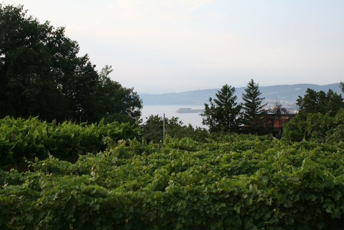 panorama2