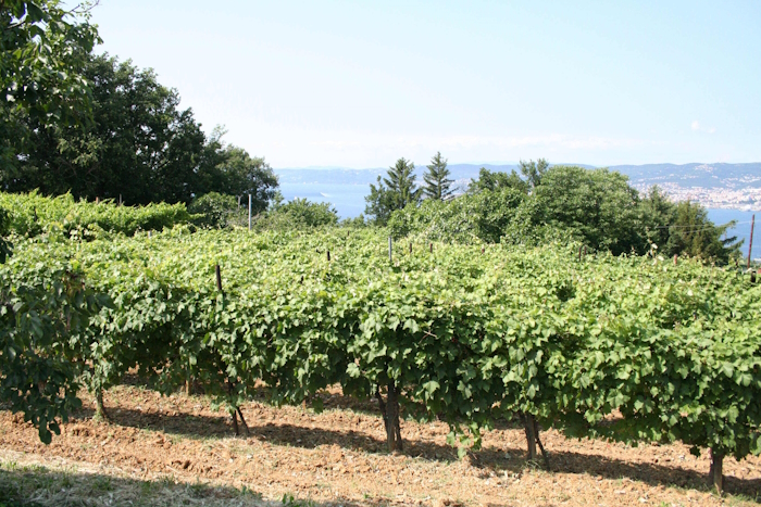 panorama3